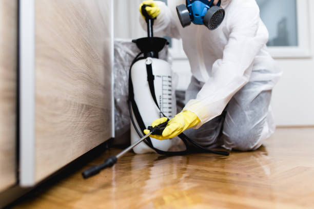 Best Insect Control  in Fanwood, NJ