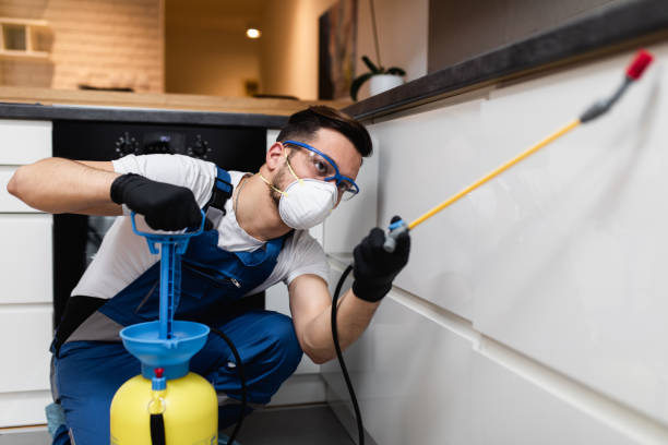 Best Rat Extermination Near Me  in Fanwood, NJ