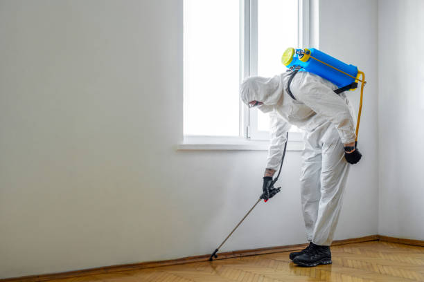Pest Prevention Services in Fanwood, NJ