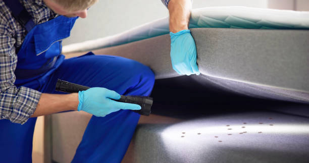 Best Pest Inspection Near Me  in Fanwood, NJ