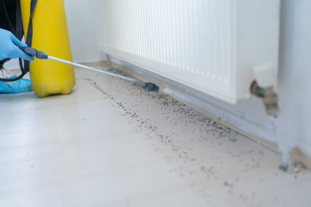 Best Local Pest Control Services  in Fanwood, NJ