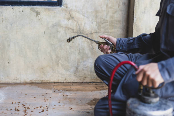 Best Residential Pest Control  in Fanwood, NJ