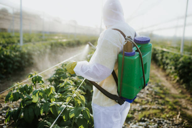 Best Exterminator Services  in Fanwood, NJ